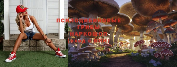 хмурый Сафоново