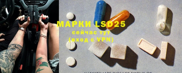 spice Ельня