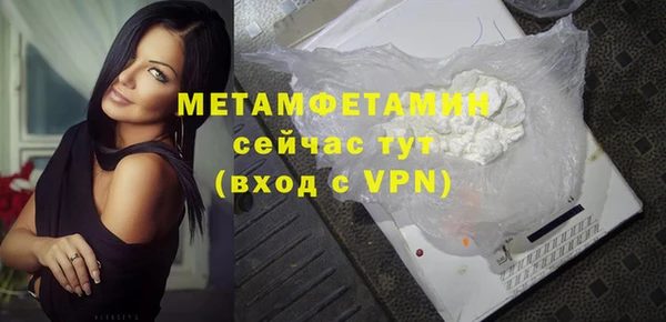гидра Елизово