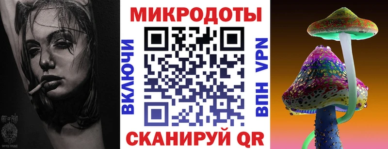 Галлюциногенные грибы Psilocybe Канск